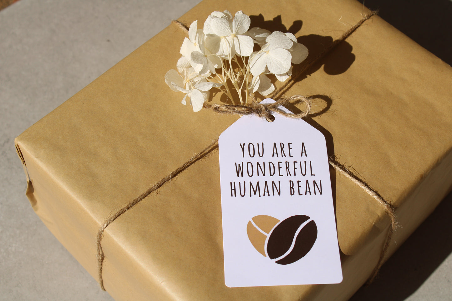 Wonderful Human Bean - Gift Tag